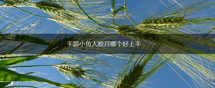 手游小鱼人皎月哪个好上手,第1张