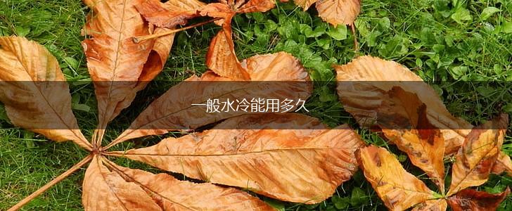 一般水冷能用多久,第1张