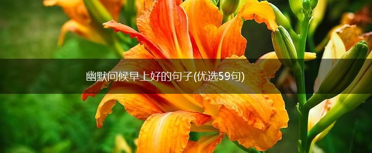 幽默问候早上好的句子(优选59句),第1张