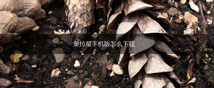 奥拉星手机版怎么下载,第1张