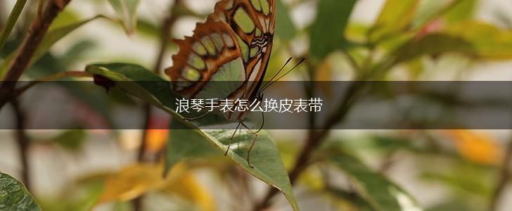 浪琴手表怎么换皮表带,第1张