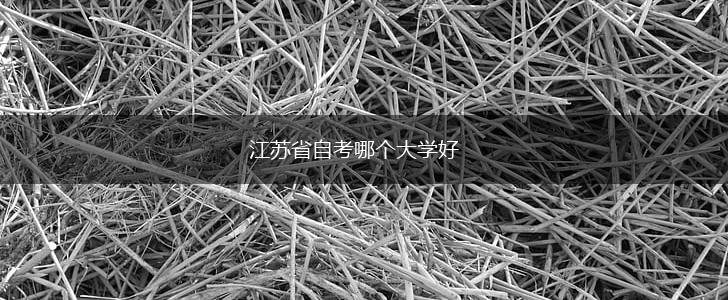 江苏省自考哪个大学好,第1张