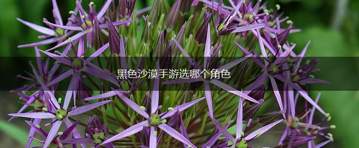 黑色沙漠手游选哪个角色,第1张
