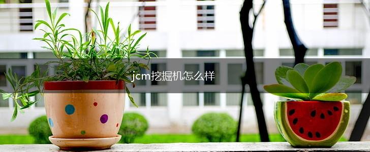 jcm挖掘机怎么样,第1张