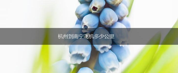 杭州到南宁飞机多少公里,第1张