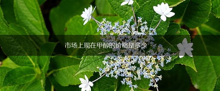 市场上现在甲醇的价格是多少,第1张