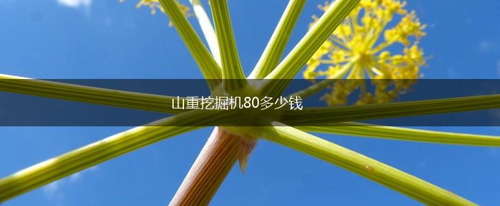 山重挖掘机80多少钱,第1张