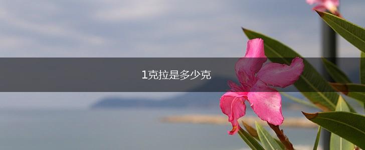 1克拉是多少克,第1张