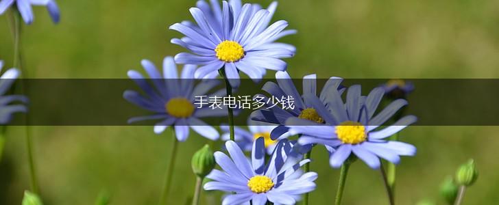 手表电话多少钱,第1张