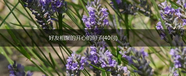好友相聚的开心的句子(40句),第1张