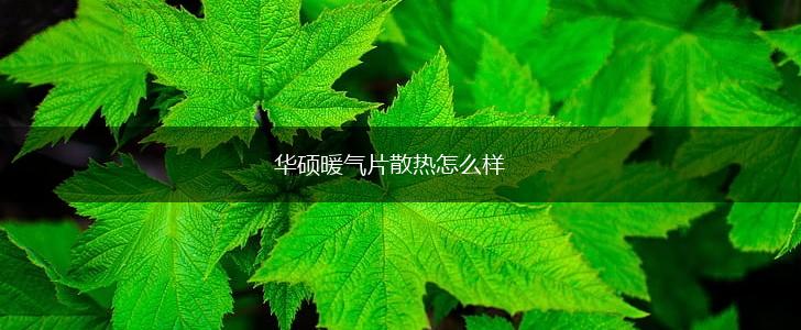 华硕暖气片散热怎么样,第1张
