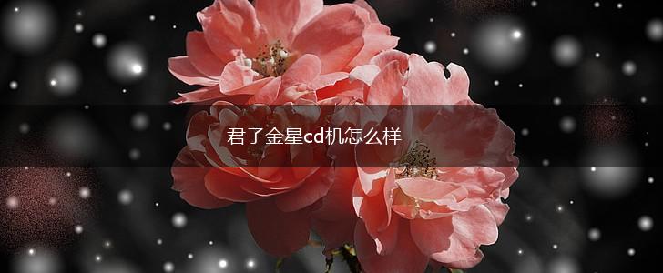 君子金星cd机怎么样,第1张