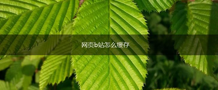 网页b站怎么缓存,第1张