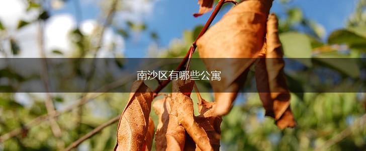 南沙区有哪些公寓,第1张