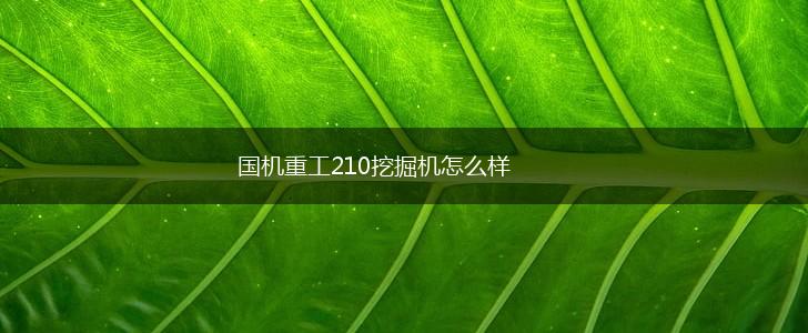 国机重工210挖掘机怎么样,第1张