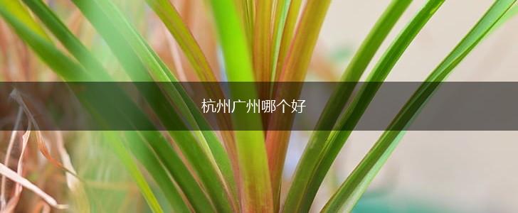 杭州广州哪个好,第1张