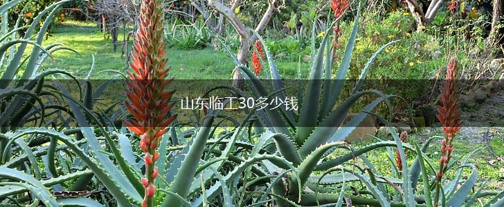 山东临工30多少钱,第1张