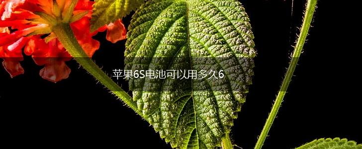 苹果6S电池可以用多久6,第1张