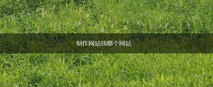 制作网站找哪个网站,第1张