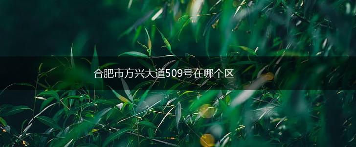 合肥市方兴大道509号在哪个区,第1张