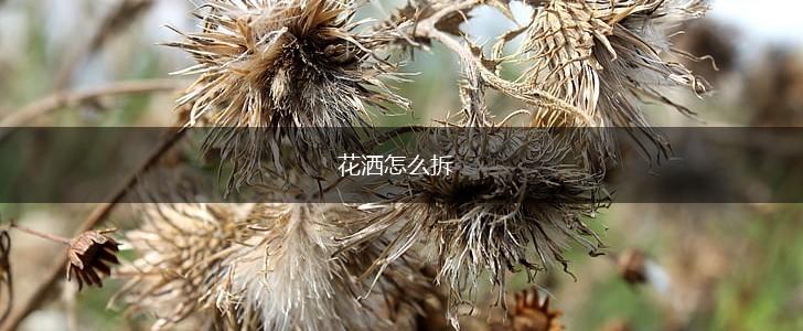 花洒怎么拆,第1张