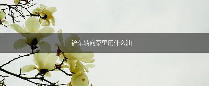铲车转向泵里用什么油,第1张