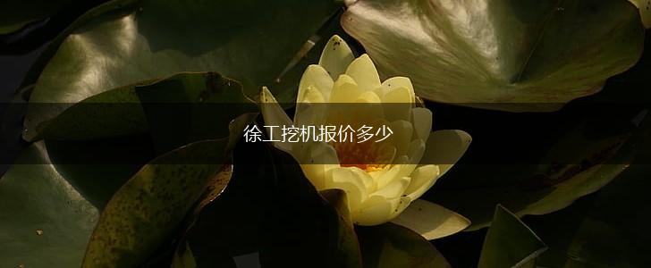 徐工挖机报价多少,第1张