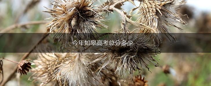 今年如皋高考总分多少,第1张