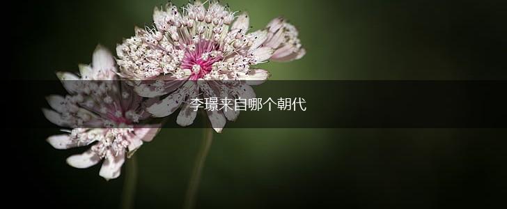李璟来自哪个朝代,第1张