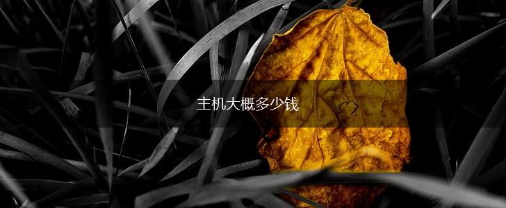 主机大概多少钱,第1张