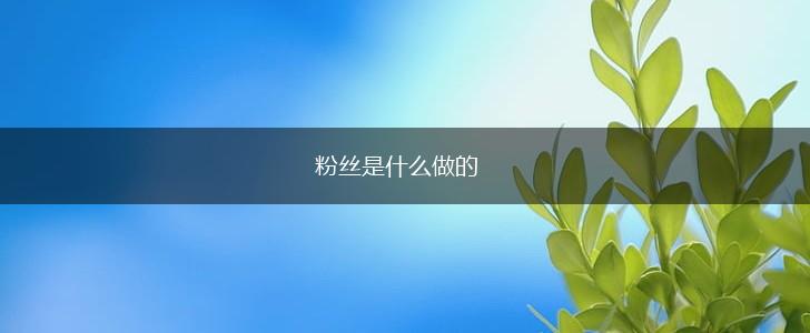 粉丝是什么做的,第1张