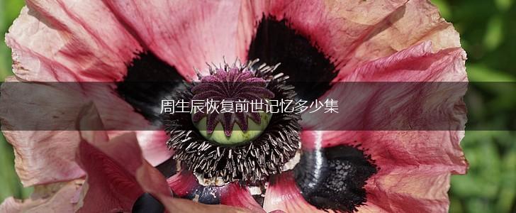 周生辰恢复前世记忆多少集,第1张