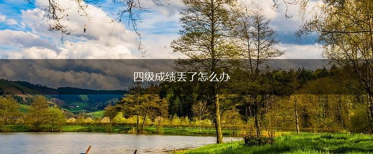 四级成绩丢了怎么办,第1张