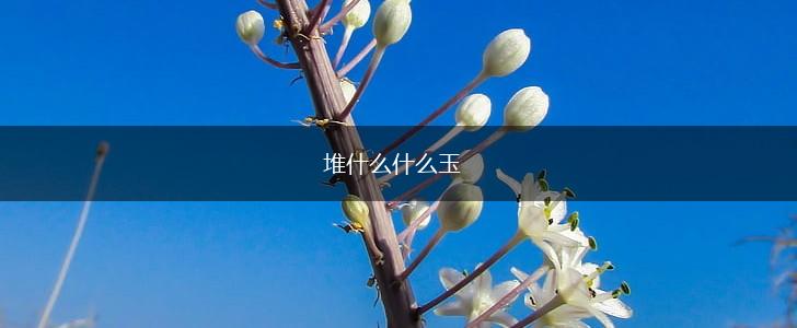 堆什么什么玉,第1张
