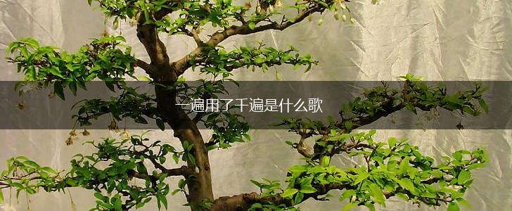 一遍用了千遍是什么歌,第1张