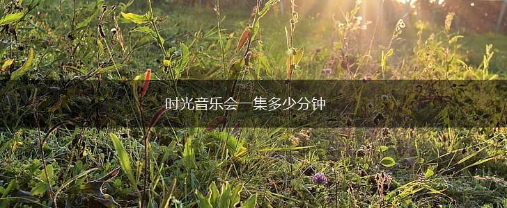 时光音乐会一集多少分钟,第1张