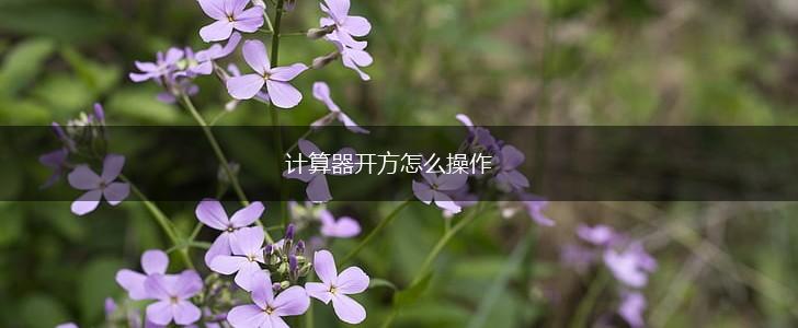 计算器开方怎么操作,第1张