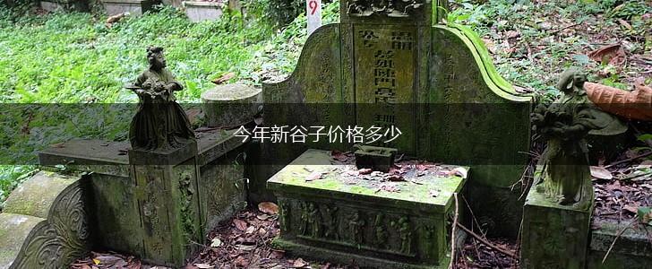 今年新谷子价格多少,第1张