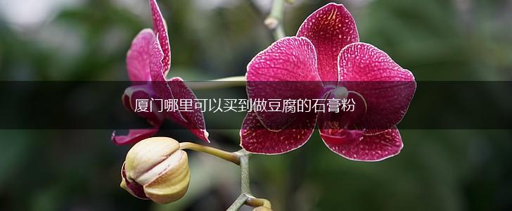 厦门哪里可以买到做豆腐的石膏粉,第1张