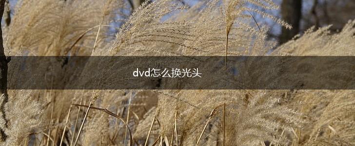 dvd怎么换光头,第1张