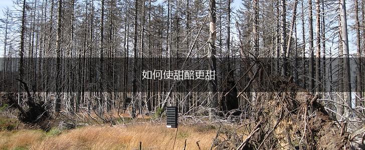 如何使甜醅更甜,第1张