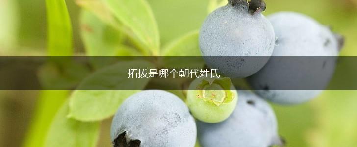 拓拔是哪个朝代姓氏,第1张