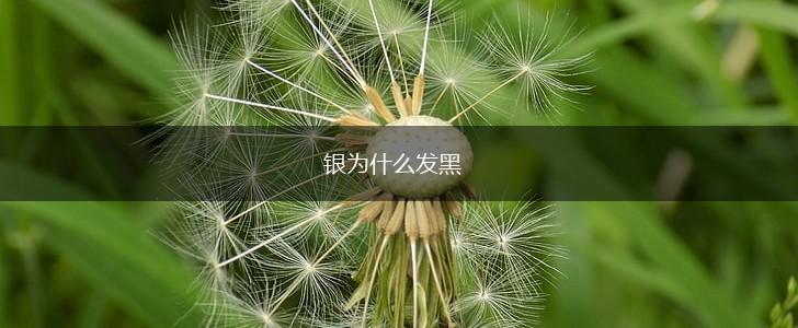 银为什么发黑,第1张