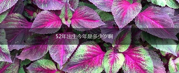52年出生今年是多少岁啊,第1张