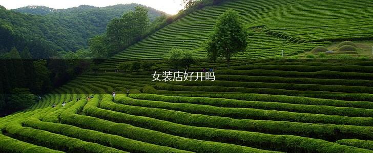 女装店好开吗,第1张