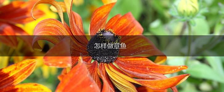 怎样做章鱼,第1张