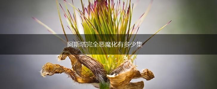 阿斯塔完全恶魔化有多少集,第1张