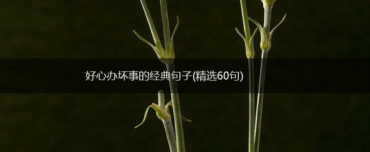 好心办坏事的经典句子(精选60句),第1张