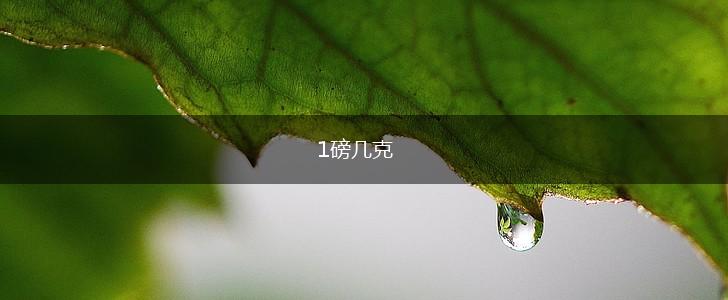1磅几克,第1张