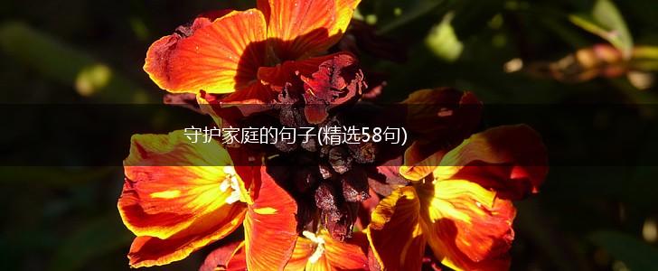 守护家庭的句子(精选58句),第1张